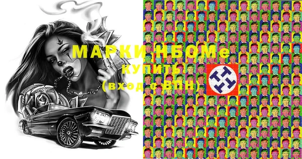 гашик Осинники
