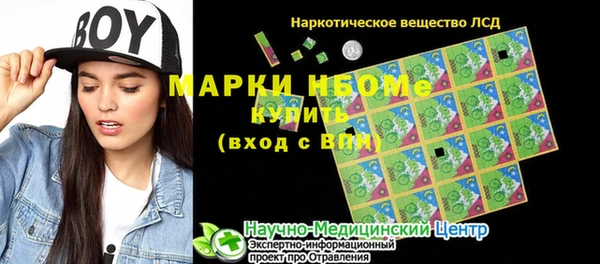 ПСИЛОЦИБИНОВЫЕ ГРИБЫ Семёнов