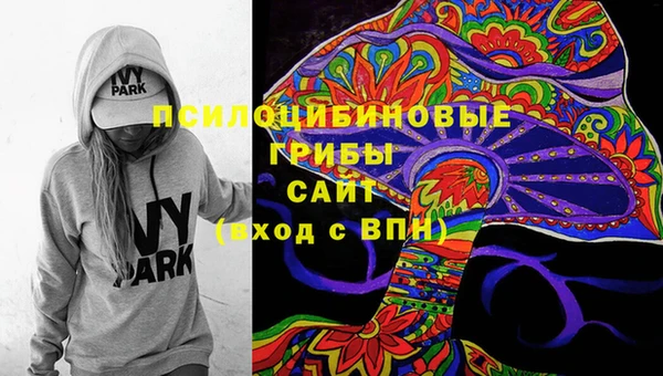 ПСИЛОЦИБИНОВЫЕ ГРИБЫ Семёнов