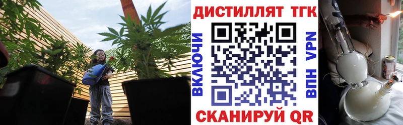 дарк нет клад  Заполярный  Дистиллят ТГК вейп с тгк  что такое наркотик  гидра маркетплейс 