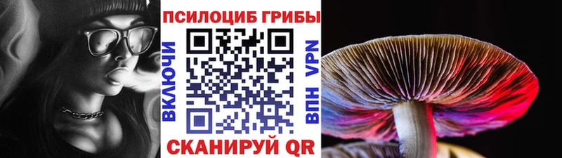 магазин продажи   Заполярный  Галлюциногенные грибы прущие грибы 